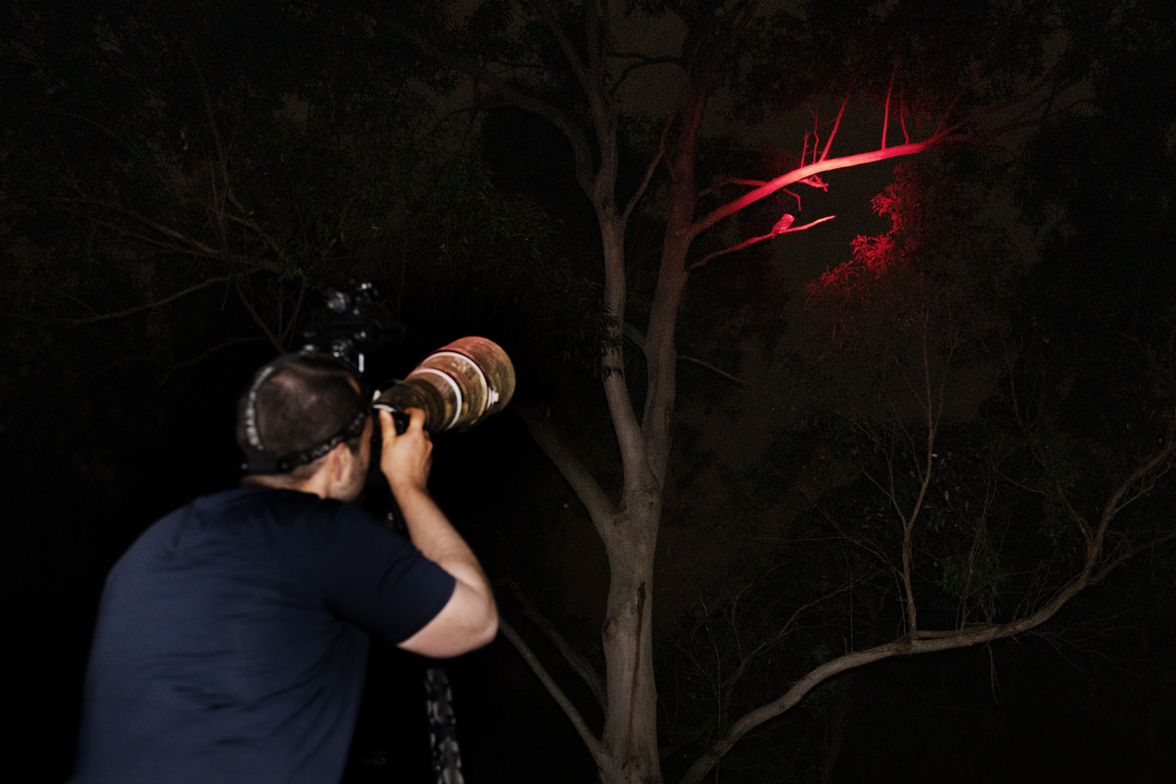 Flash & Lighting Accessories